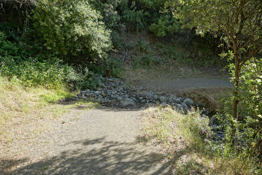 DSC08741