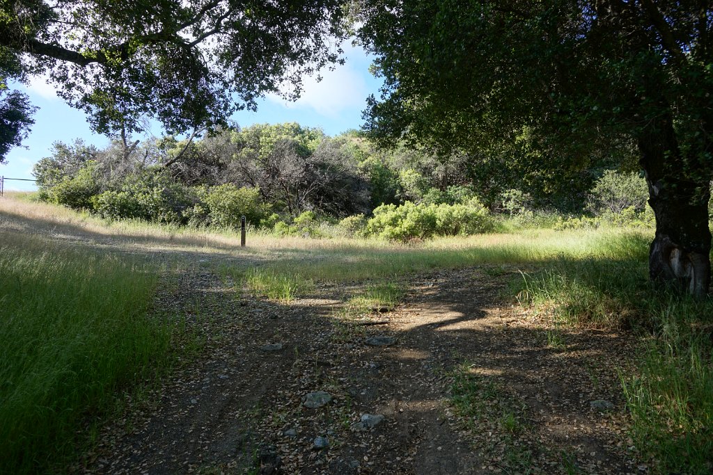 DSC08756