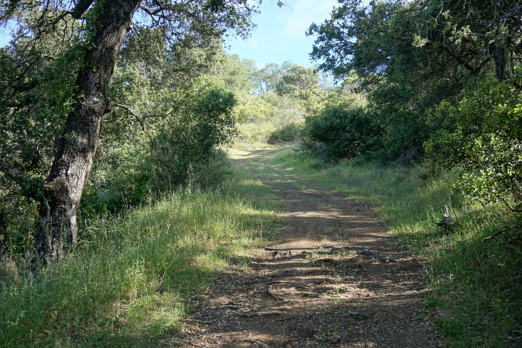 DSC08763