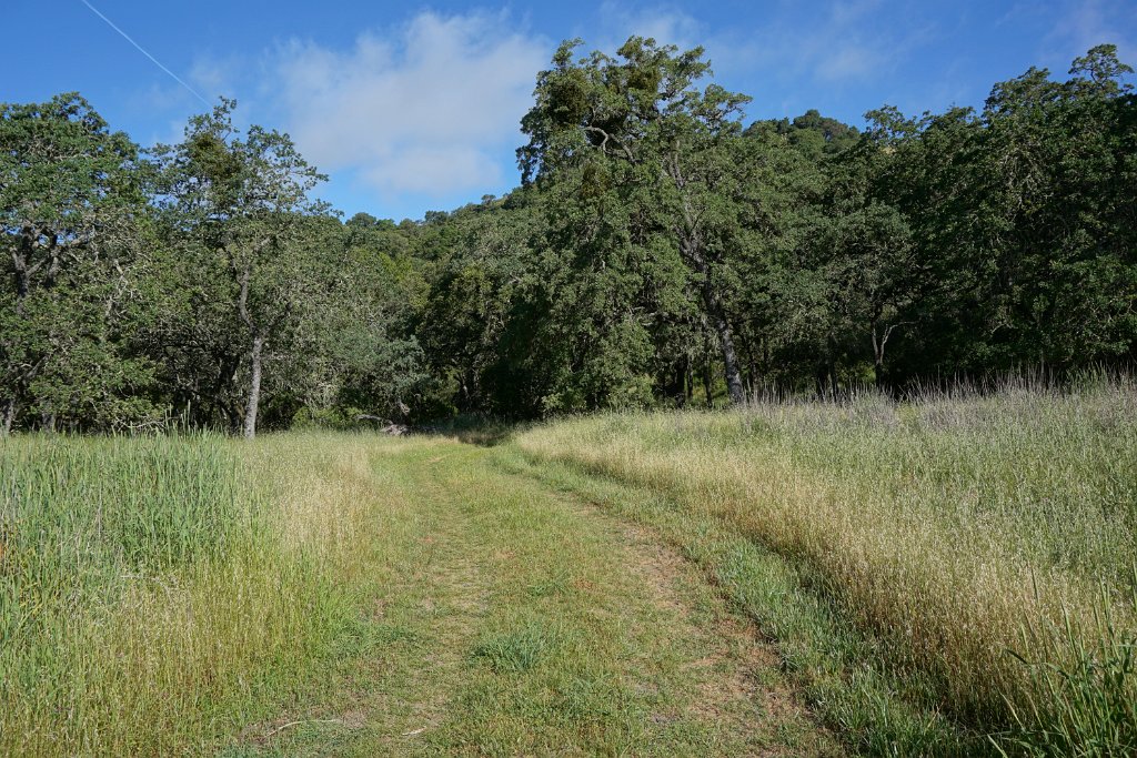 DSC08765