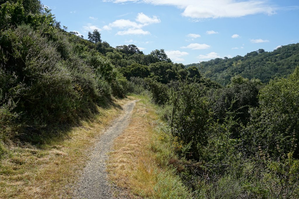 DSC08850