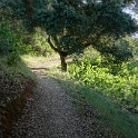 DSC08688