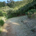 DSC08690