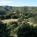 DSC08693