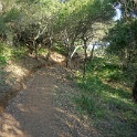 DSC08698