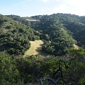 DSC08699