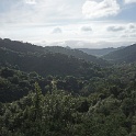 DSC08701