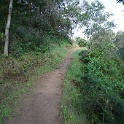 DSC08703