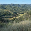 DSC08705