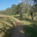 DSC08709