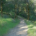 DSC08723