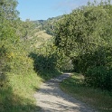 DSC08725