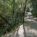 DSC08733