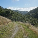 DSC08745