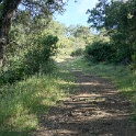 DSC08763