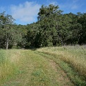 DSC08765