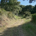 DSC08767