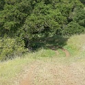 DSC08773