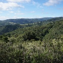 DSC08778