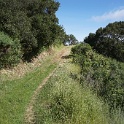 DSC08784