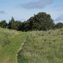 DSC08787