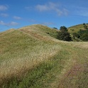 DSC08800