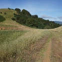 DSC08803