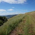 DSC08805