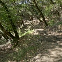 DSC08840