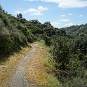 DSC08850