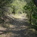 DSC08852