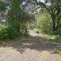 DSC08858