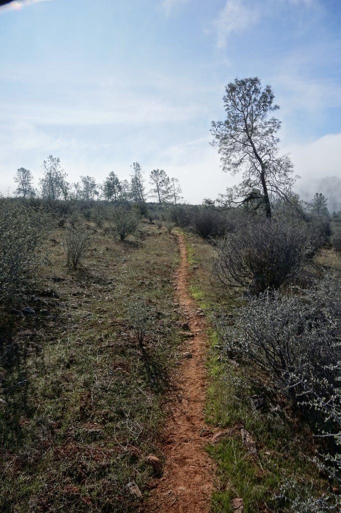 DSC01194