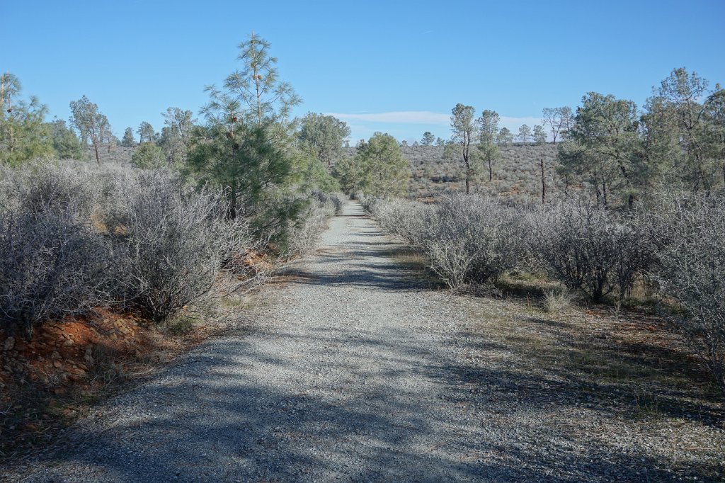 DSC01201