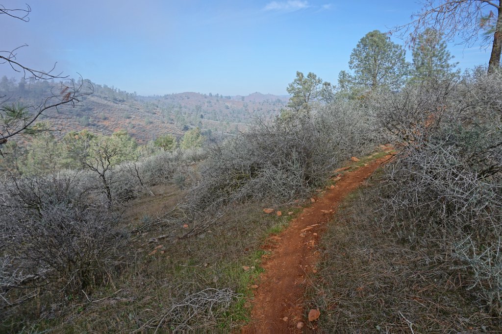 DSC01300