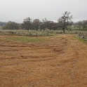 DSC01161