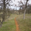 DSC01164