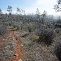 DSC01190