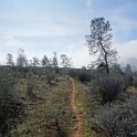 DSC01194