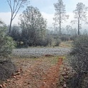 DSC01196
