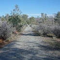 DSC01201