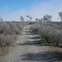 DSC01205