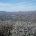 DSC01218