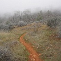 DSC01235