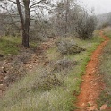 DSC01237