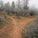 DSC01241
