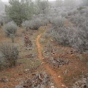 DSC01246