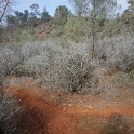 DSC01257