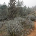 DSC01274