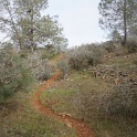 DSC01286
